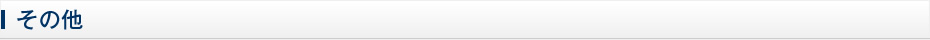 その他